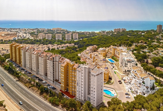 Apartamento / piso - Reventa - Campoamor - Dehesa de Campoamor