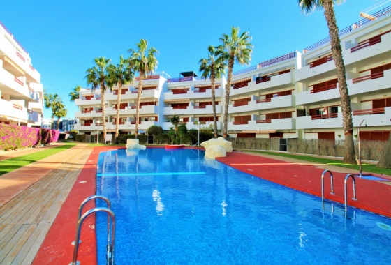 Apartamento / piso - Reventa - Playa Flamenca - Playa Flamenca
