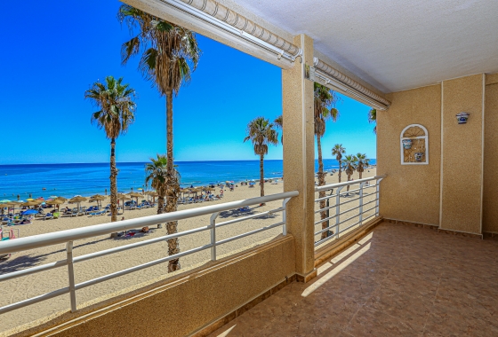 Apartment / flat - Resale - La Mata - La Mata