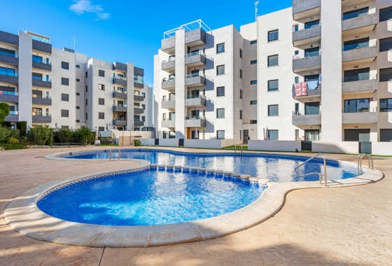 Apartment / flat - Resale - San Miguel de Salinas - San Miguel de Salinas