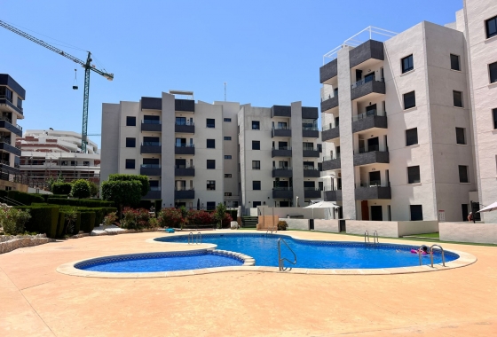 Apartment / flat - Resale - San Miguel de Salinas - San Miguel de Salinas
