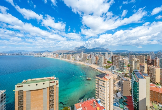Apartments - Wiederverkauf - Benidorm - Levante