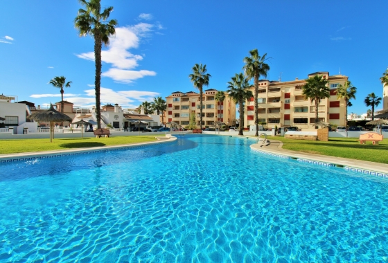 Appartement / flat - Herverkoop - Playa Flamenca - Playa Flamenca