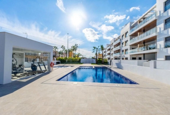 Ático - Obra nueva - Torrevieja - Torrevieja