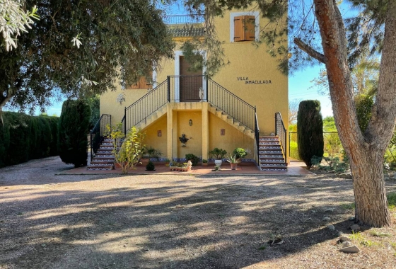 Finca / Country Property - Resale - Daya Nueva - Daya Nueva