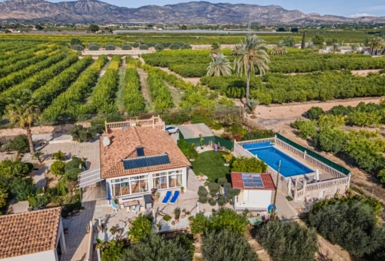 Finca / Country Property - Revente - Albatera - Albatera