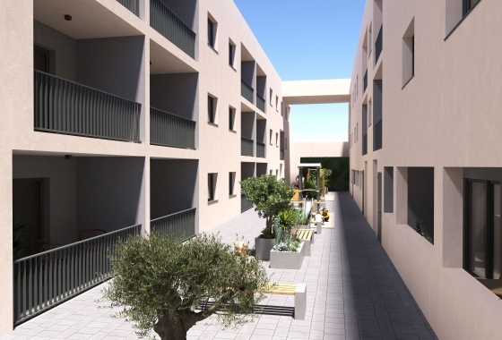Ground floor apartment - Neue Gebäude - San Miguel de Salinas - San Miguel de Salinas