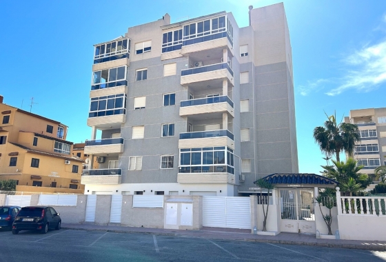 Ground floor apartment - Neue Gebäude - Torrevieja - Torrevieja