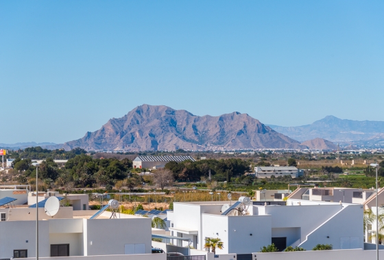 Ground floor apartment - Obra nueva - Benijofar - Benijofar