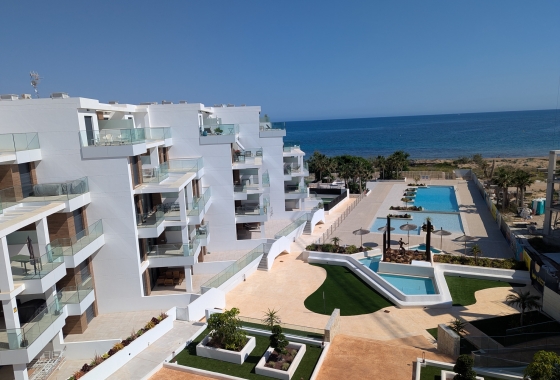 Ground floor apartment - Obra nueva - Denia - Denia