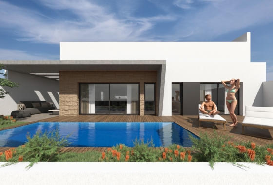 Villa - Neue Gebäude - Torrevieja - Torrevieja