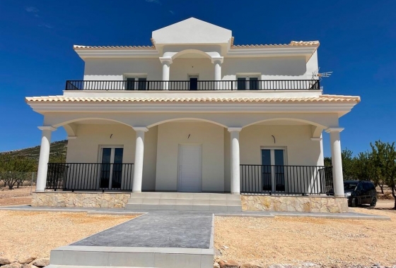 Villa - New Build - Pinoso - Camino Del Prado