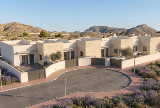 Villa - Nouvelle construction - Mazarrón - NB-13158