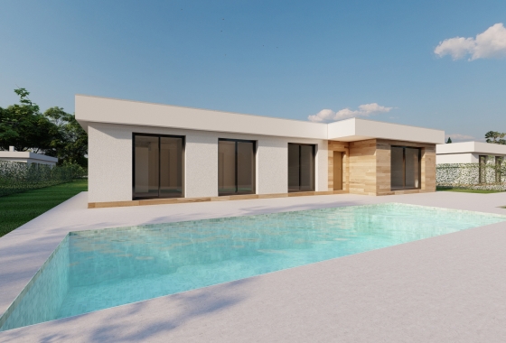 Villa - Obra nueva - Calasparra - Calasparra
