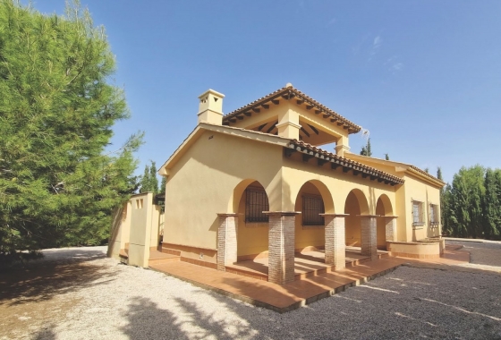 Villa - Obra nueva - Fuente Álamo - Las Palas