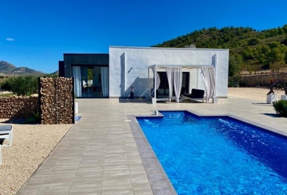 Villa - Obra nueva - Torre del Rico - Torre del Rico