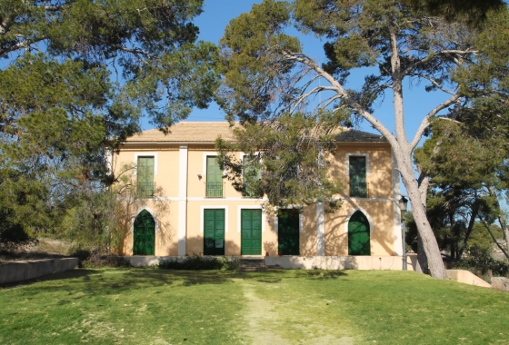 Villa - Resale - Alicante - Center