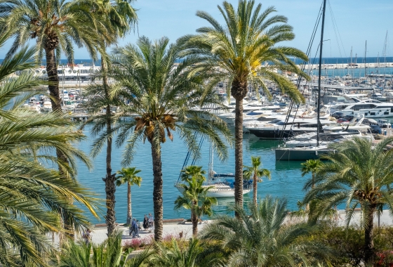 Wohnung - Wiederverkauf - Alicante - - Centro  -