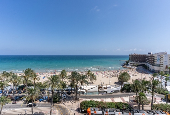 Wohnung - Wiederverkauf - Alicante - - Centro  -