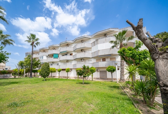 Wohnung - Wiederverkauf - Orihuela Costa - Cabo Roig