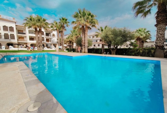 Wohnung - Wiederverkauf - Orihuela Costa - Villamartin