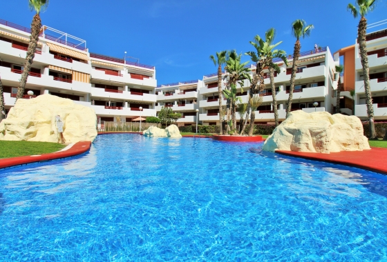 Wohnung - Wiederverkauf - Playa Flamenca - Playa Flamenca