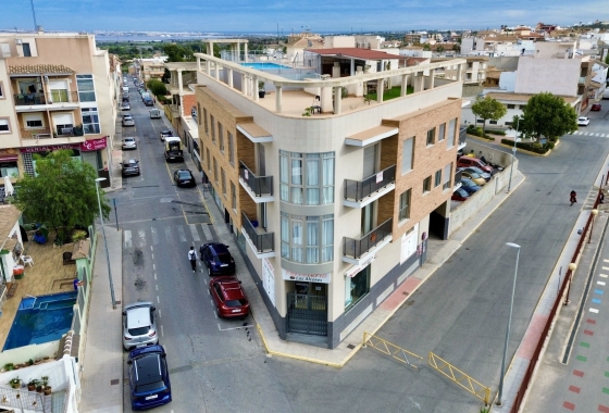 Wohnung - Wiederverkauf - San Miguel de Salinas - San Miguel de Salinas