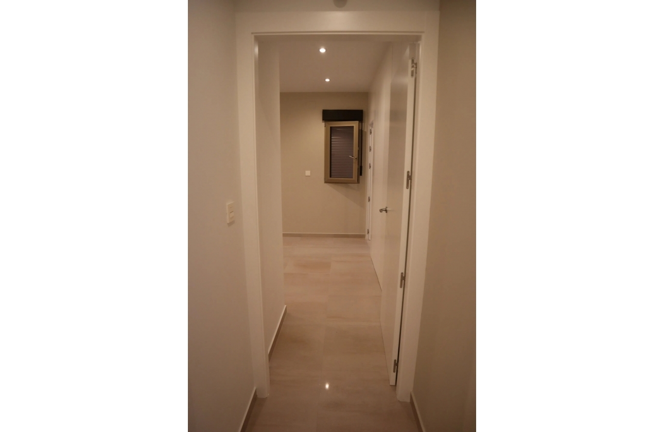 Obra nueva - Villa - Aspe