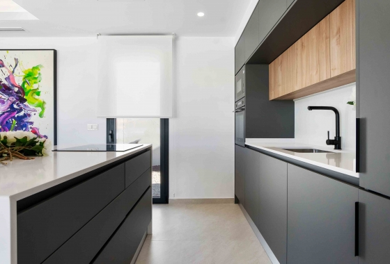 Nouvelle construction - Villa - Rojales