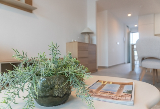 Obra nueva - Apartamento / piso - Playa Flamenca