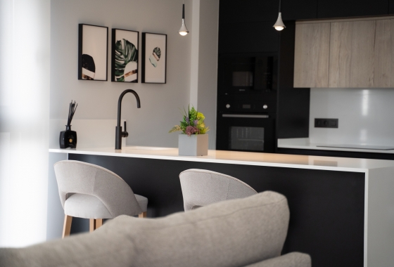 Obra nueva - Casa - Torrevieja