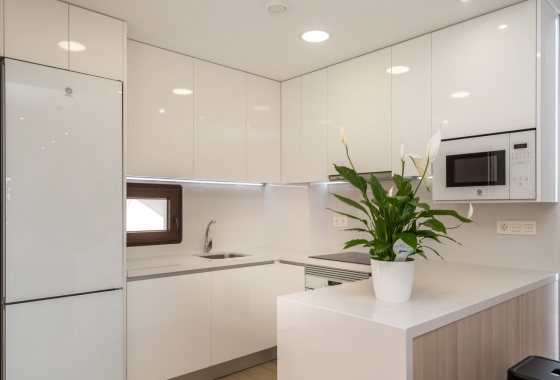 Nieuwbouw Woningen - Penthouse - Finestrat