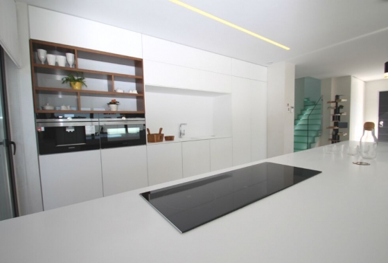 Obra nueva - Villa - San Miguel de Salinas