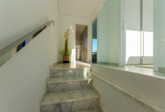 Nouvelle construction - Maison - Pilar de la Horadada