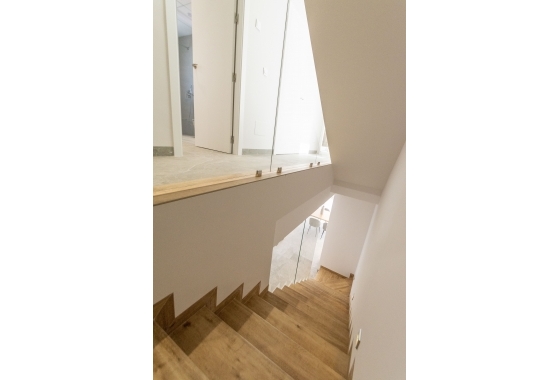 Obra nueva - detached - Pilar de la Horadada