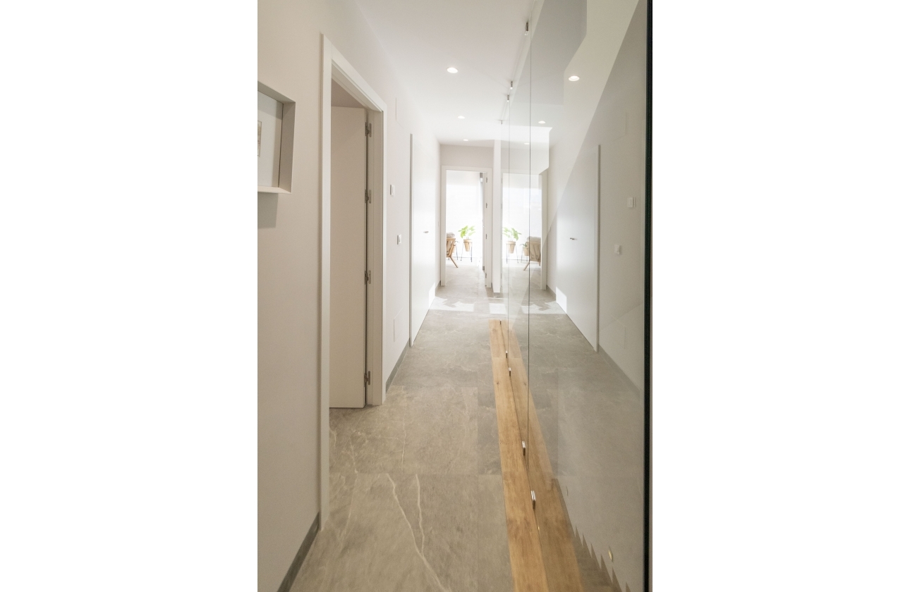 Obra nueva - detached - Pilar de la Horadada