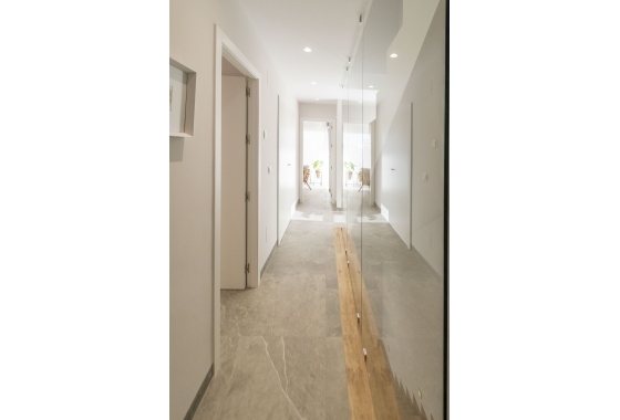 Obra nueva - detached - Pilar de la Horadada