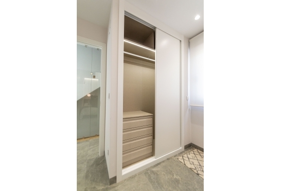 Obra nueva - detached - Pilar de la Horadada