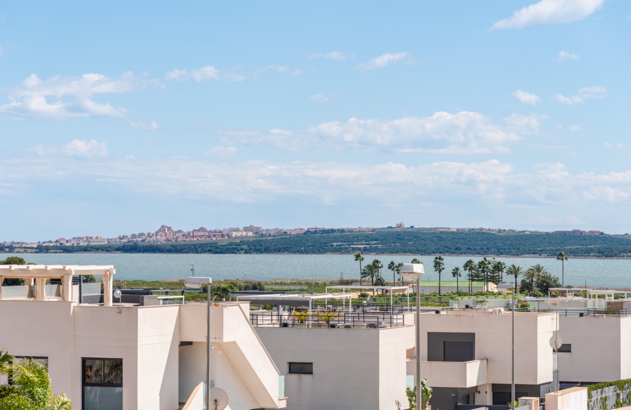 Obra nueva - detached - Los Montesinos