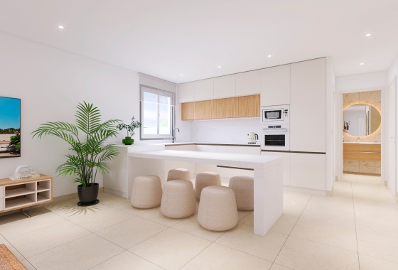 Obra nueva - Casa - Bigastro