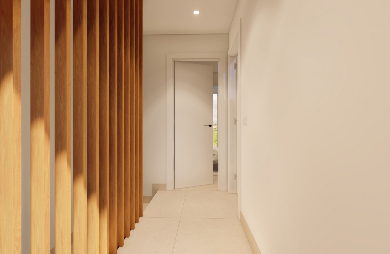 Obra nueva - detached - Pilar de la Horadada