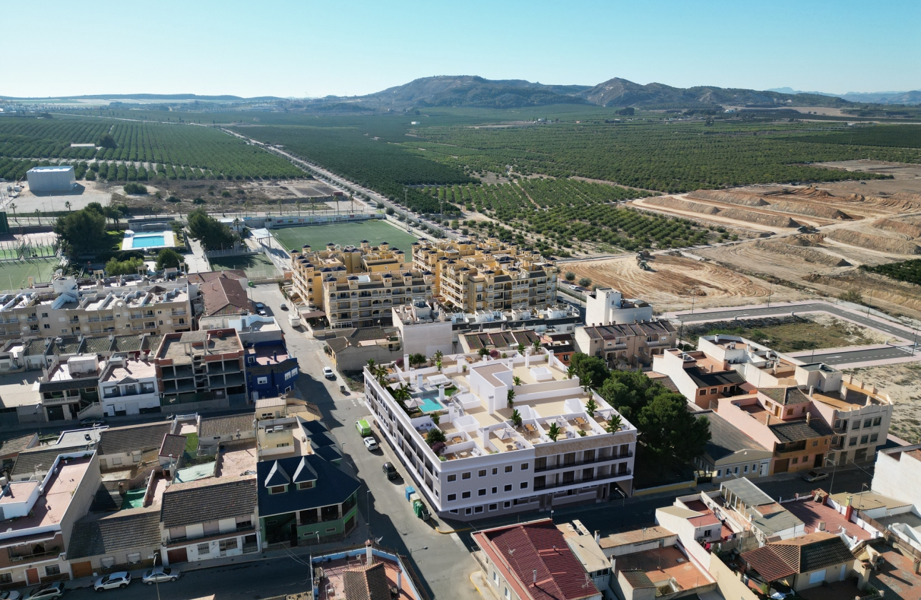 Obra nueva - Ground floor apartment - Algorfa