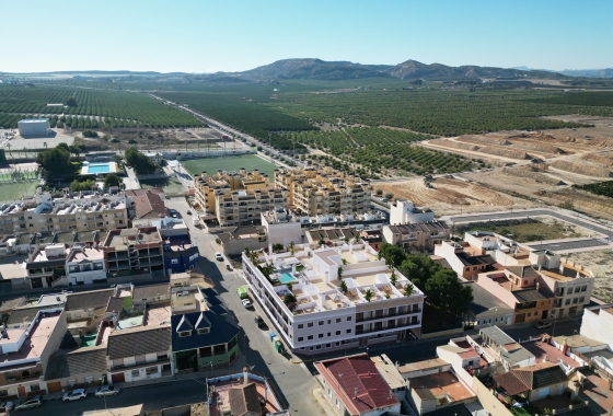 Nouvelle construction - Appartement - Algorfa