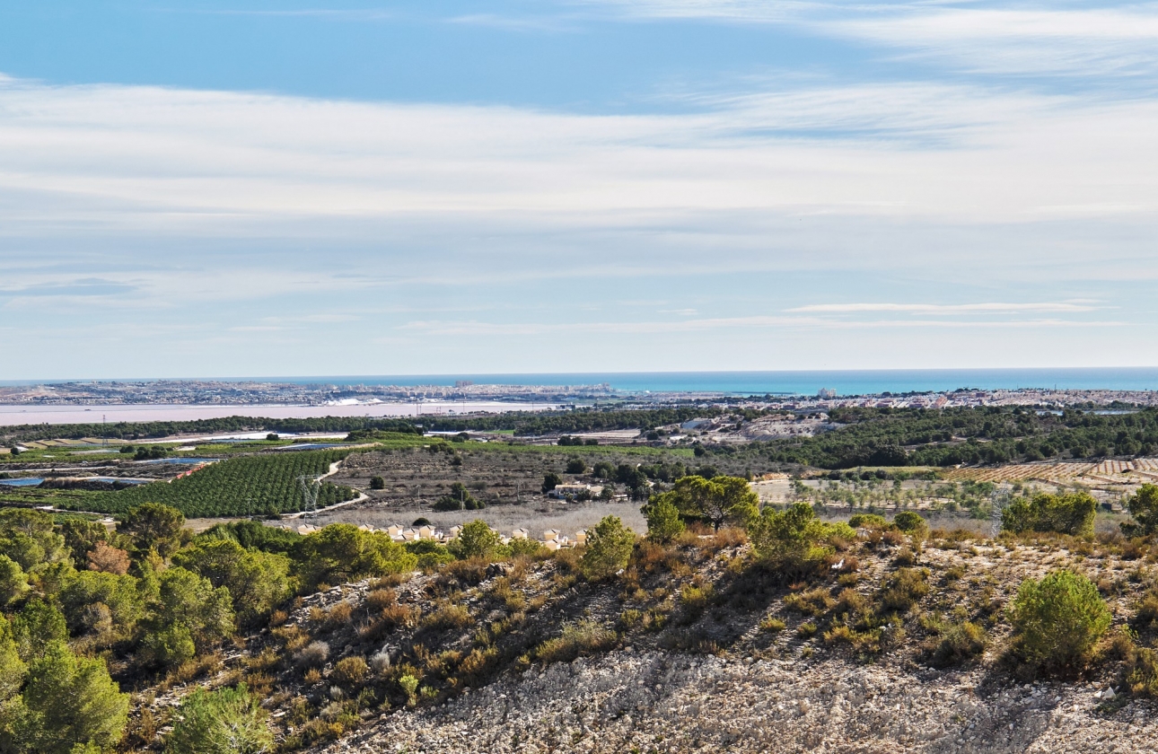 Obra nueva - Villa - San Miguel de Salinas