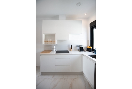 Nouvelle construction - Villa - Pinar de Campoverde