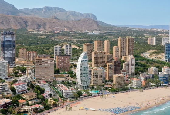 Obra nueva - Apartamento / piso - Benidorm - Poniente