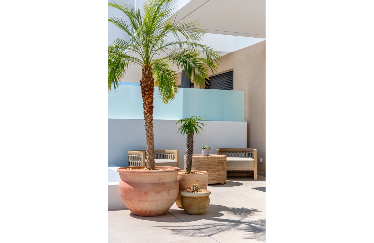 Obra nueva - Casa - Dolores