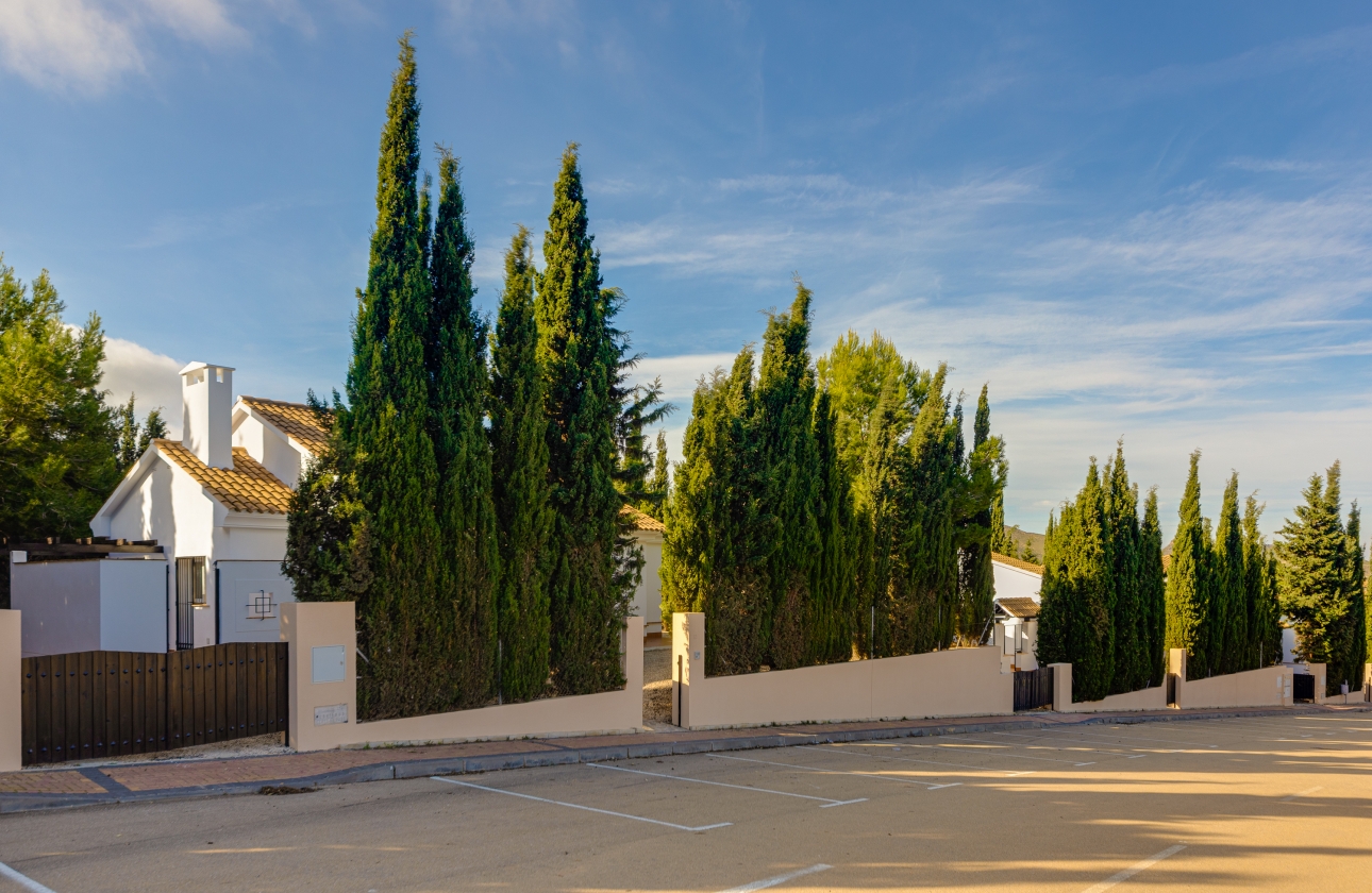 New Build - Villa - Fuente Álamo