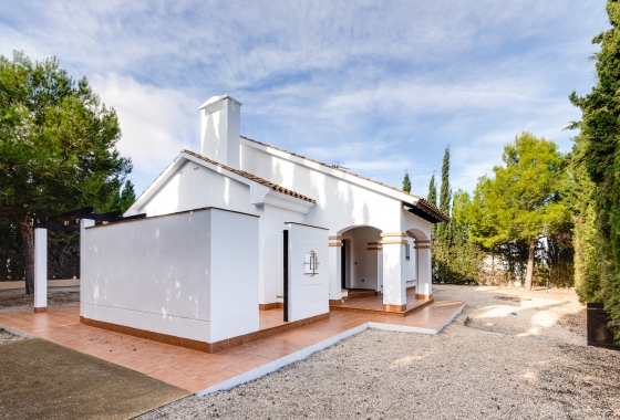 New Build - Villa - Fuente Álamo