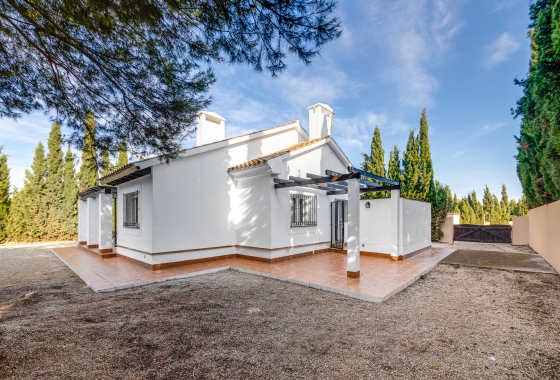 Obra nueva - Casa - Fuente Álamo